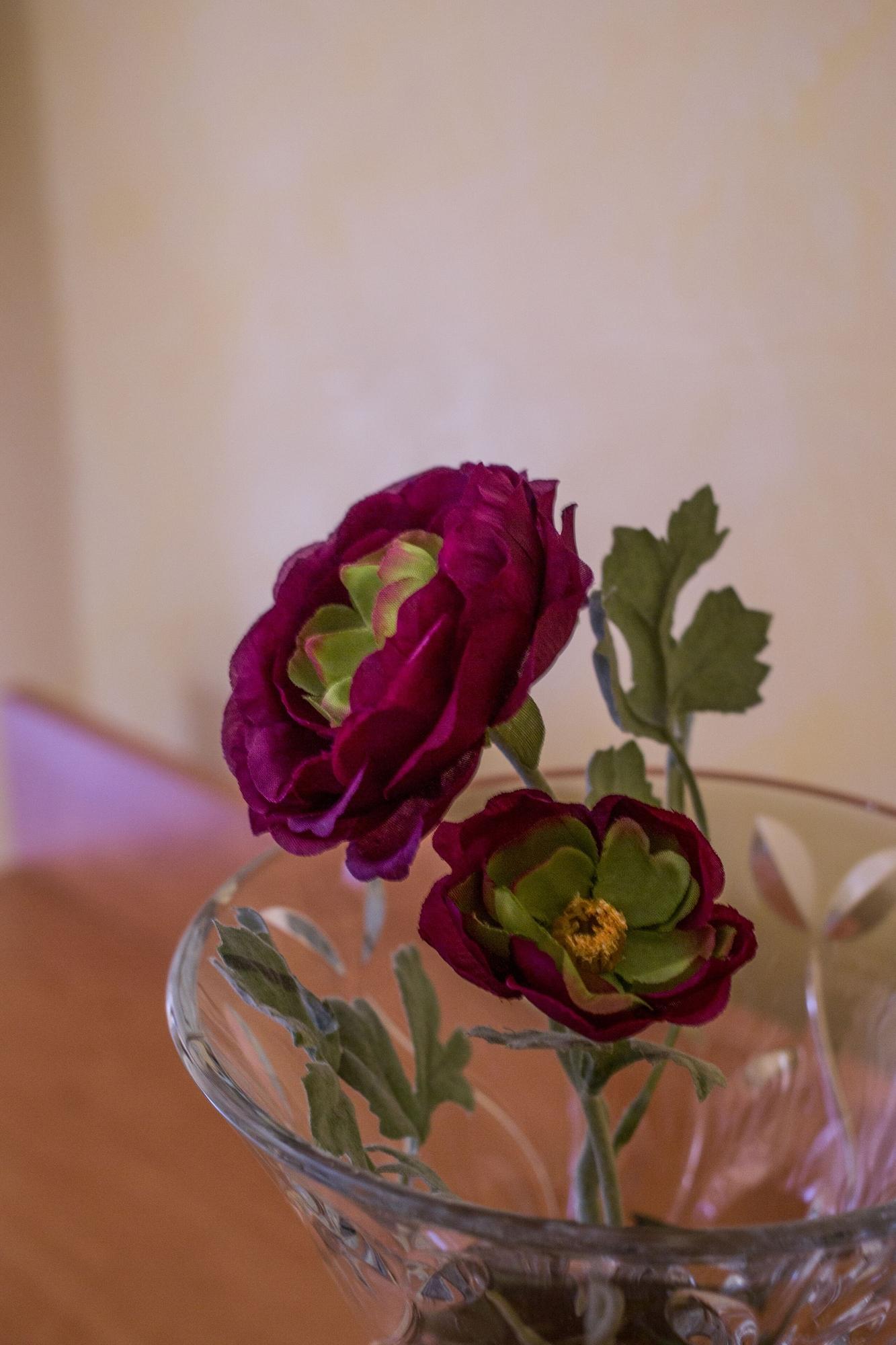 Hotel Angelica Firenze Bagian luar foto